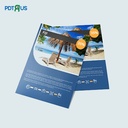 Custom Flyers &amp; Leaflets