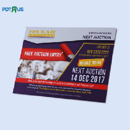 Standard Flyers &amp; Leaflets